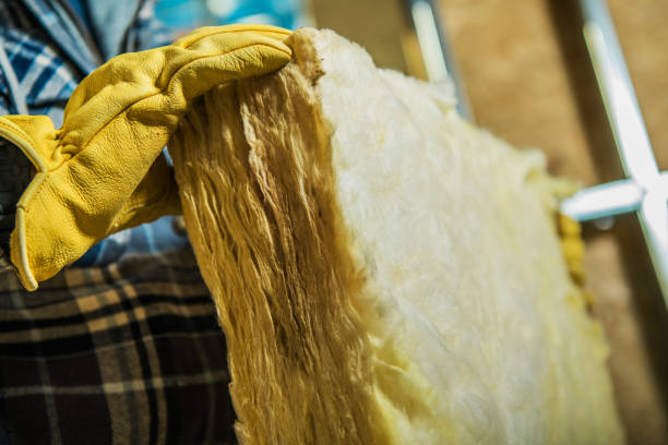 Best DIY Insulation Kits and Guidance in Collinsville, TX
