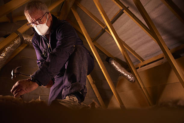 Best Fiberglass Insulation in Collinsville, TX