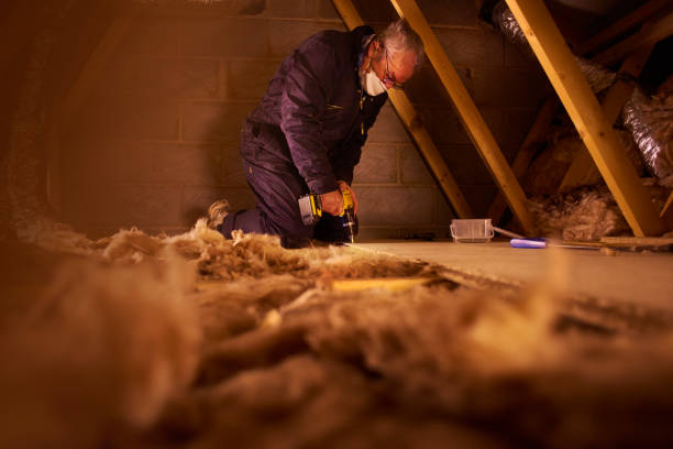Best Specialized Insulation Services in Collinsville, TX