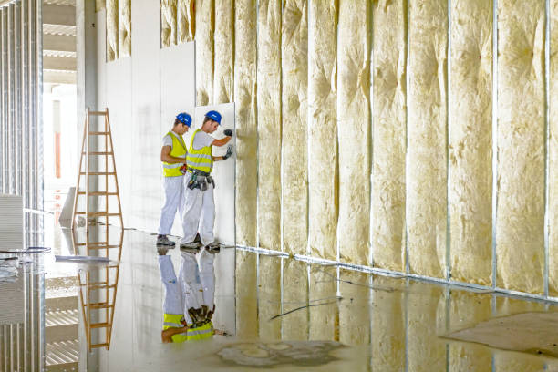 Best Blown-in Insulation in Collinsville, TX